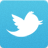 seguimi su twitter